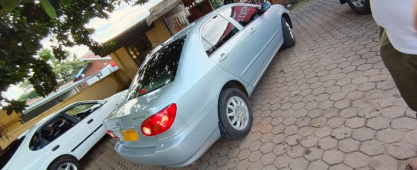 toyota-corolla-big-2