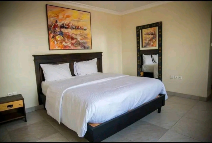 gishushu-fully-furnished-2bedrooms-apartment-for-rent-at-1m-in-good-location-big-6
