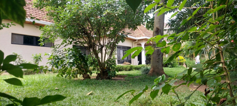 kigali-pool-house-available-for-rent-kacyiru-near-american-ambassador-residence-big-0