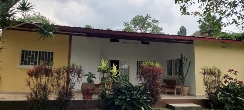 fully-furnished-house-available-for-rent-at-kimihurura-near-indabo-cafe-big-0