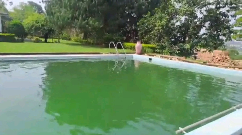 kigali-pool-house-available-for-rent-in-kiyovu-big-6