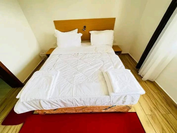 kimihurura-near-convention-center-very-nice-fully-furnished-apartments-for-rent-big-6
