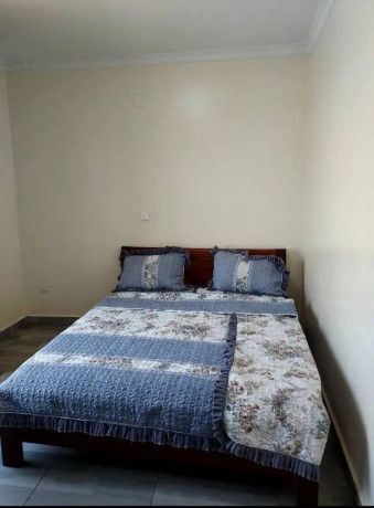full-furnished-apartment-for-rent-in-kagugu-big-2