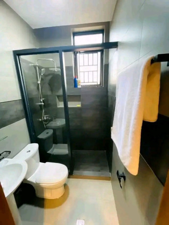 remera-furnished-apartment-for-rent-in-kigali-big-3