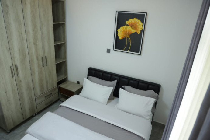 kimihurura-furnished-apartment-for-rent-in-kigali-big-2