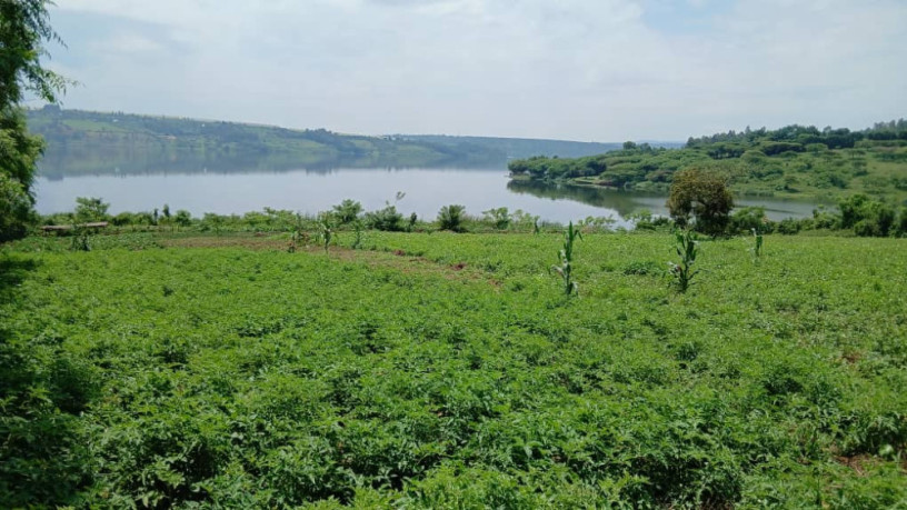 gatsibo-muhazi-plot-for-sale-big-0