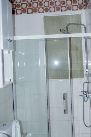 tb-006-kibagabaga-kibagabaga-nice-furnished-house-for-rent-big-13