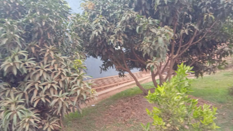kigali-land-with-an-old-house-for-sale-in-gatenga-kicukiro-big-6