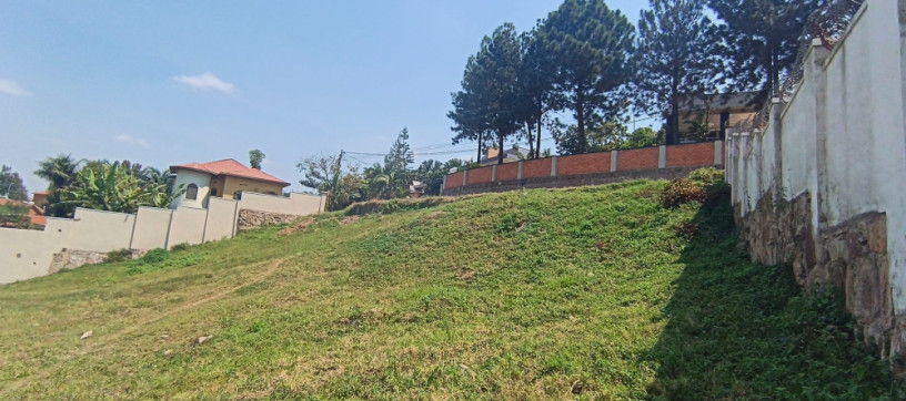 nyarutarama-plot-for-sale-500m-big-6