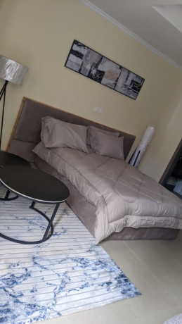 bs-56-gacuriro-new-fully-furnished-studio-apartments-for-rent-big-2