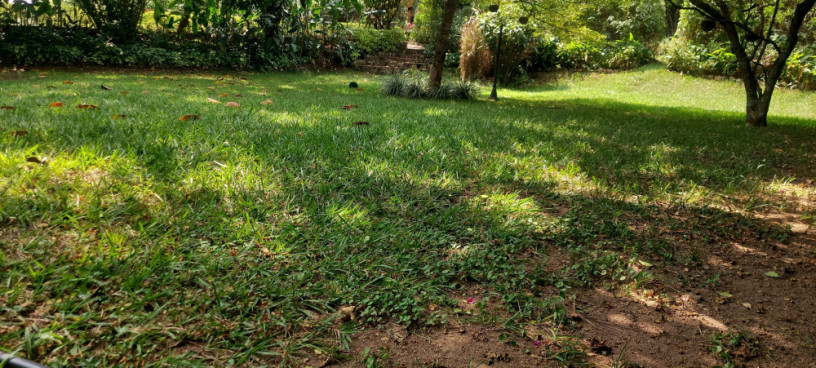kigali-unfurnished-family-villa-available-for-rent-in-nyarutarama-big-5