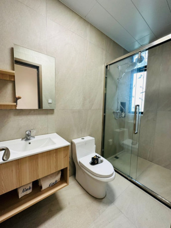 kiyovu-very-nice-luxurious-apartment-for-rent-in-kigali-big-5