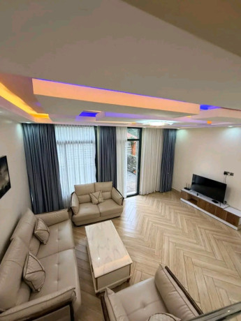 nyarutarama-furnished-23-bedrooms-apartment-for-rent-in-good-location-big-2