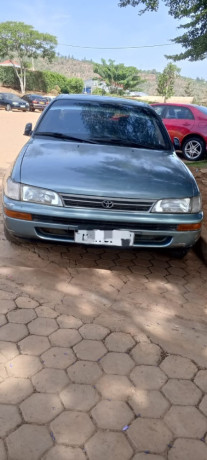toyota-gikumi-big-1