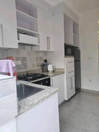 nyarutarama-near-mtn-furnished-1bed-1bath-apartment-for-rent-in-kigali-big-3