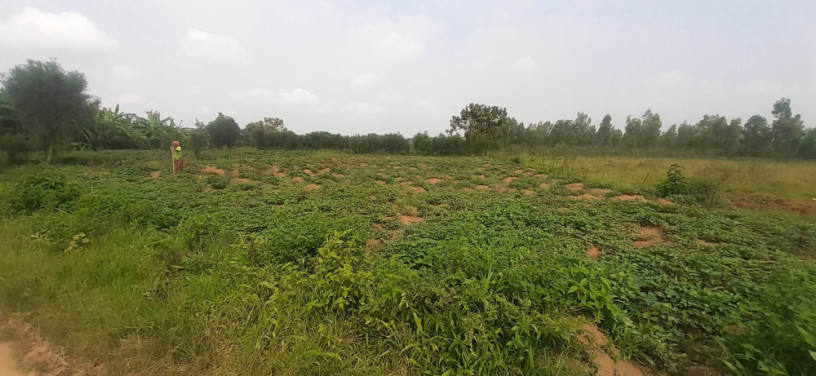 plot-for-sale-in-bugesera-near-airport-hot-deal-big-1