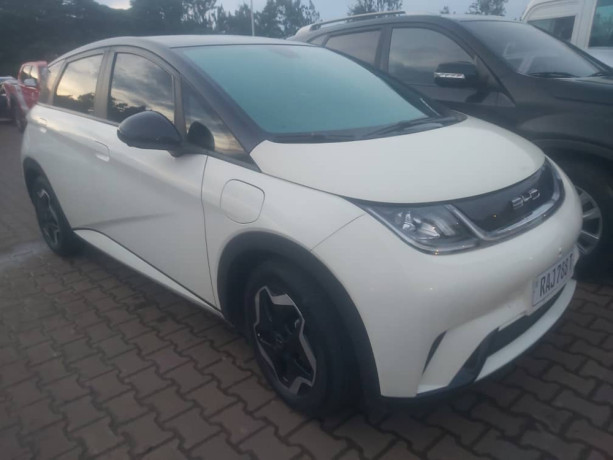 byd-big-0