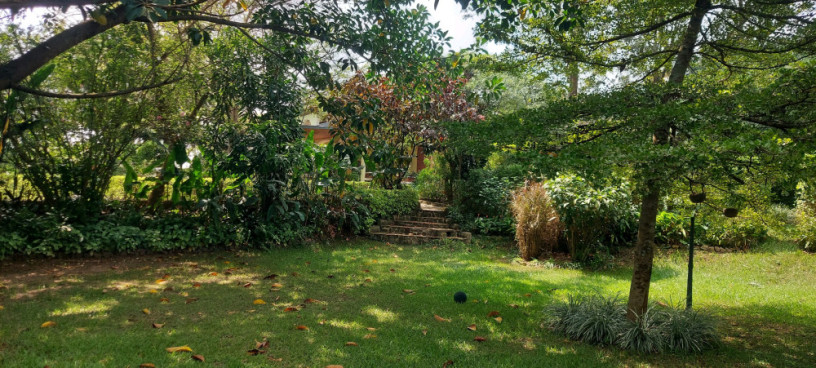kigali-unfurnished-family-villa-available-for-rent-in-nyarutarama-big-8