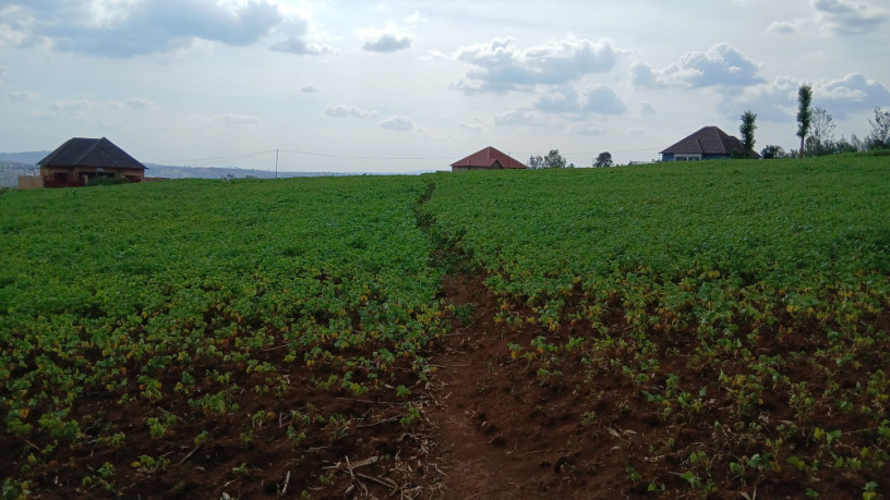 rusororo-ruhanga-plot-for-sale-big-2