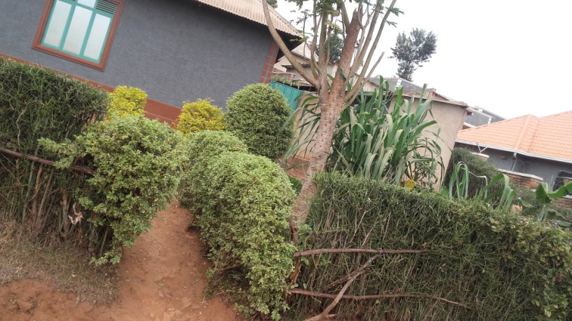 largest-land-for-sale-with-a-house-big-2