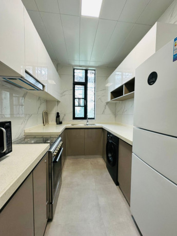 kiyovu-very-nice-luxurious-apartment-for-rent-in-kigali-big-1