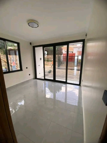 apartment-for-rent-2-bedrooms-2-bathrooms-big-4