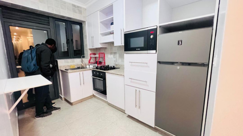 nyarutarama-1bed-2bath-furnished-apartment-at-700usd-big-10