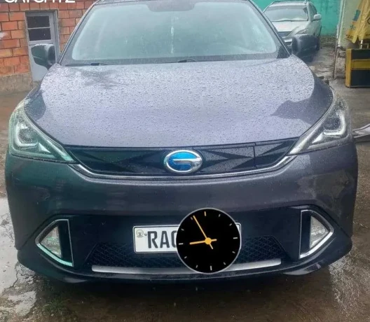 trampuchi-for-sell-big-0