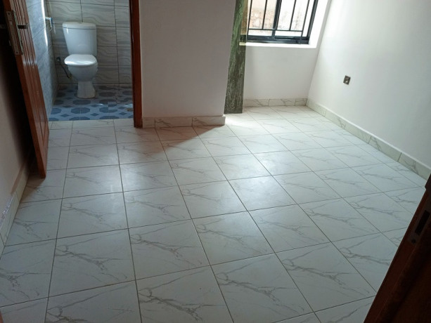kigali-unfurnished-2bedroom-apartment-for-rent-in-rebero-big-9