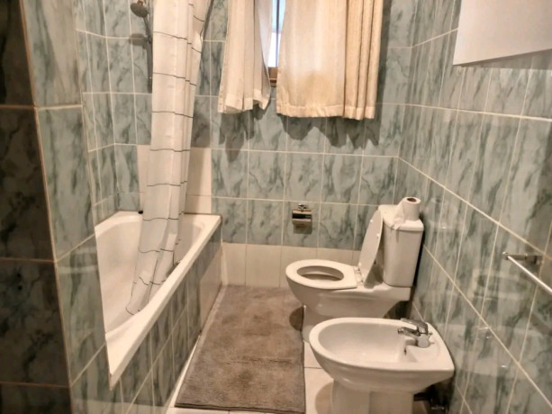 house-available-for-rent-at-kiyovu-big-7