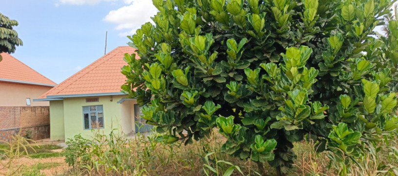 ikibanza-tugurisha-120m-gasogi-cyaruzinge-big-5