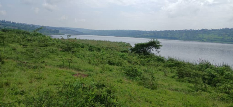 gatsibo-muhazi-land-for-sale-big-0