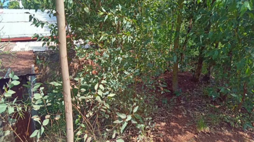 plot-for-sale-in-rebero-with-panoramic-view-of-kigali-city-big-8