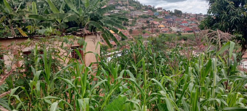 ikibanza-kigurishwa-kimironko-zindiro-big-1