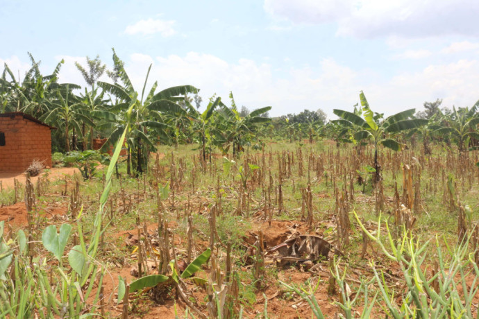 land-on-lake-for-sale-in-bugesera-near-airport-of-rwanda-big-0