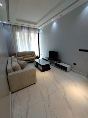this-is-beautiful-fully-furnished-apartments-for-rent-in-kimironko-big-4