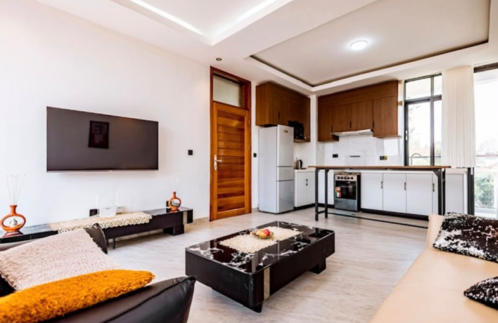 pm-008-nyarutarama-nyarutarama-very-nice-luxurious-apartment-for-rent-big-3