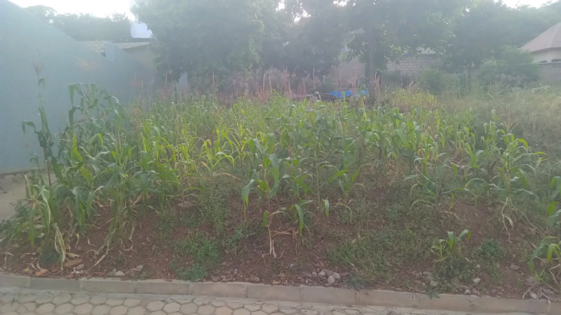 kigali-land-for-sale-in-nyamirambo-big-0