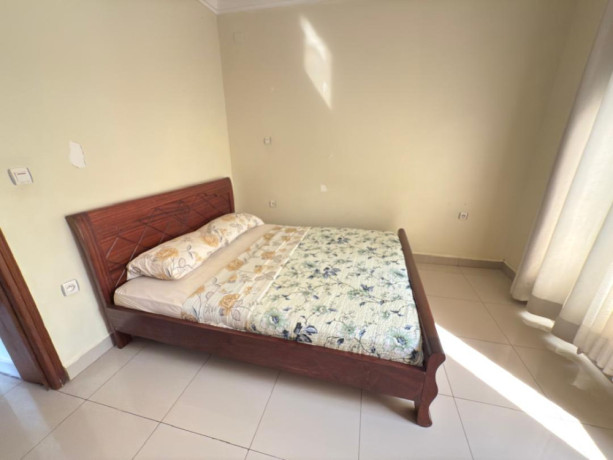 gacuriro-fully-furnished-apartment-for-rent-in-kigali-big-9