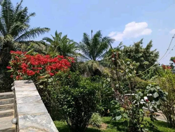 nyarutarama-very-nice-apartments-or-rent-in-prime-neighborhood-big-8