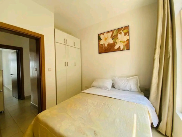 bs-62-fully-furnished-apartment-for-sale-in-kagugu-big-6