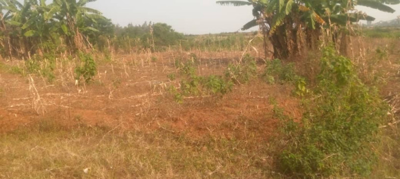 land-in-bugesera-big-1