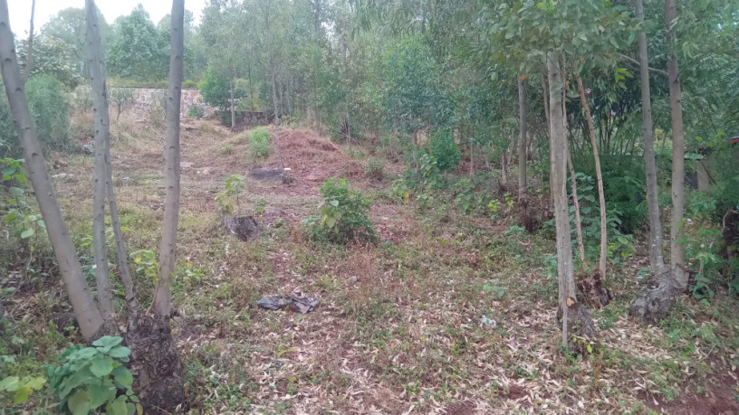 kigali-land-for-sale-in-rebero-rujugiro-big-0