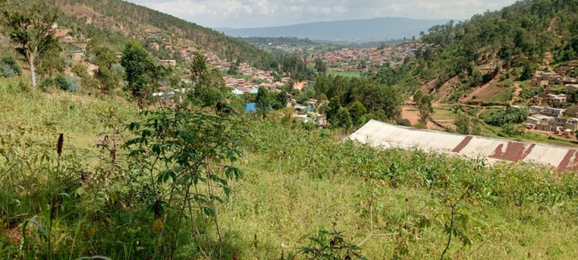 bumbogo-big-0