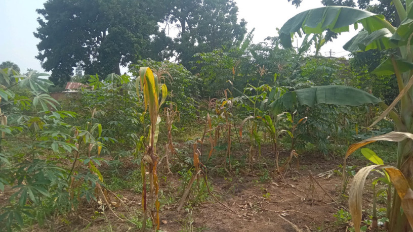 kigali-plot-for-sale-in-kinyinya-big-0