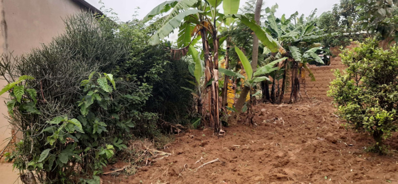 residential-plot-for-sale-in-bugesera-near-airport-hot-deal-big-1