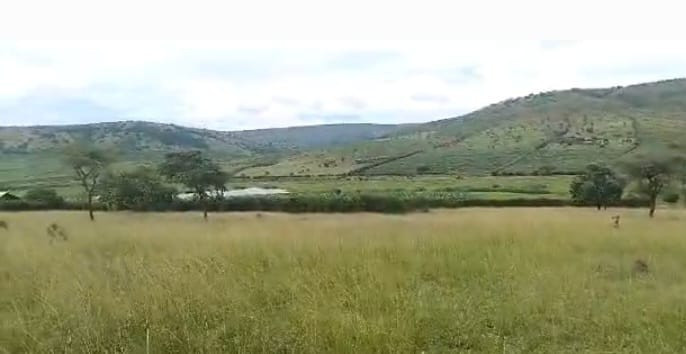 land-agricultural-for-sale-at-kayonza-big-4