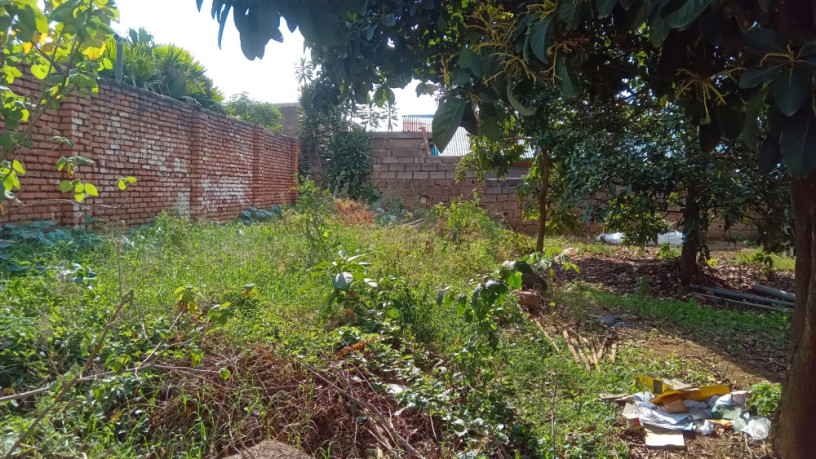 kigali-house-for-sale-in-remera-big-1