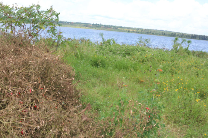 land-for-sale-in-bugesera-near-airport-of-rwanda-near-the-lake-big-1
