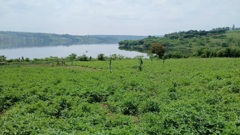 a-big-land-for-sale-in-gatsibo-at-a-good-price-big-2